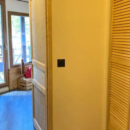 Renove 16m2, Pied Des Pistes A Morzine, Ideal Famille, Bien Equipe, Wifi Fibre, Non-fumeur - Fr-1-634-80 Morzine