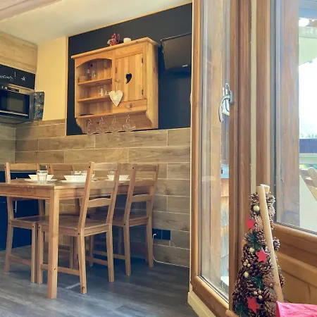 Renove 16m2, Pied Des Pistes A Morzine, Ideal Famille, Bien Equipe, Wifi Fibre, Non-fumeur - Fr-1-634-80 Apartment Morzine